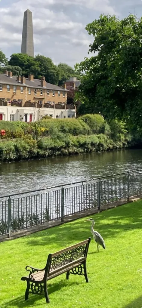 1 Riverbank House, South Circular Road, Dublin 8, D08 KN77